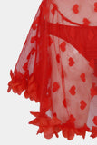 Red Heart Mesh Babydoll Lingerie Set
